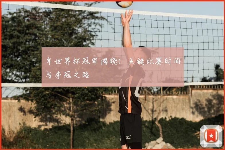 年世界杯冠军揭晓：关键比赛时间与夺冠之路