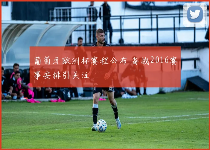 葡萄牙欧洲杯赛程公布 备战2016赛事安排引关注