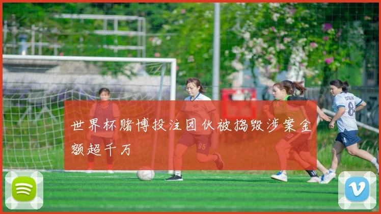 世界杯赌博投注团伙被捣毁涉案金额超千万