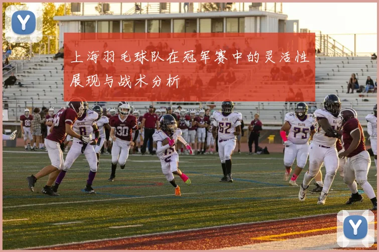 上海羽毛球队在冠军赛中的灵活性展现与战术分析