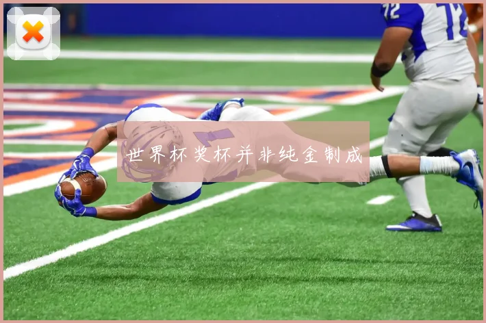 世界杯奖杯并非纯金制成