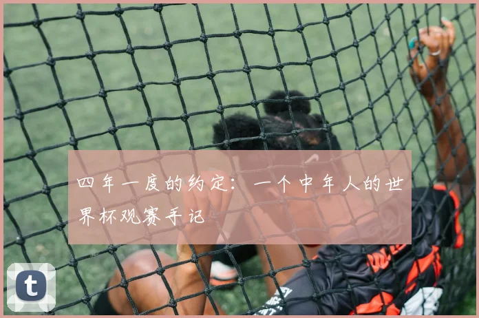 四年一度的约定：一个中年人的世界杯观赛手记