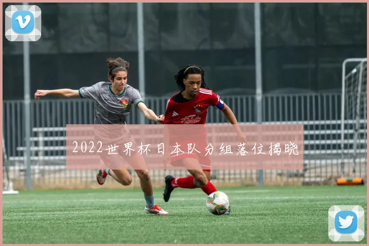 2022世界杯日本队分组落位揭晓