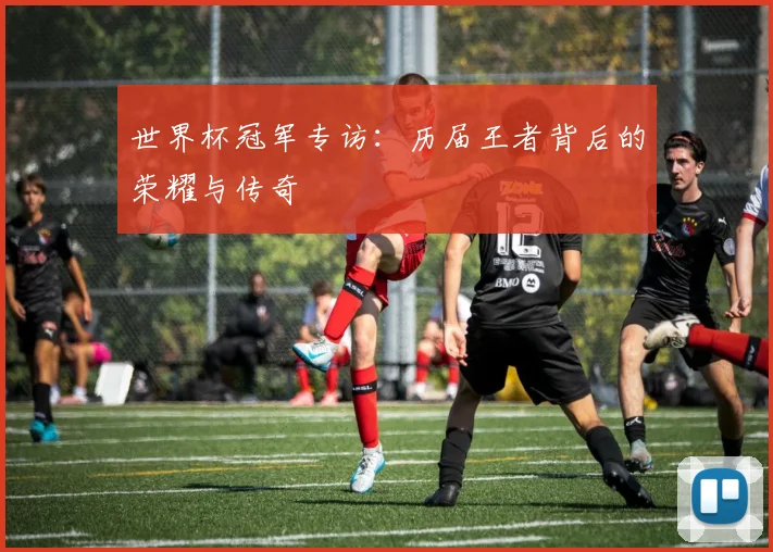 世界杯冠军专访：历届王者背后的荣耀与传奇