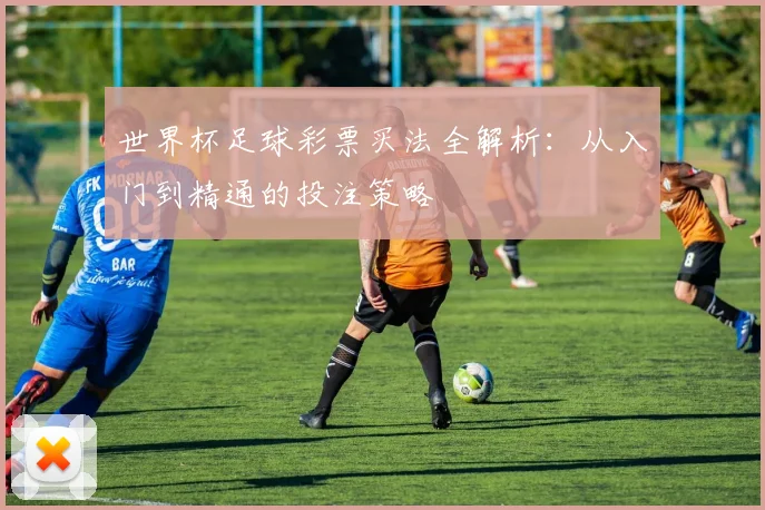 世界杯足球彩票买法全解析：从入门到精通的投注策略