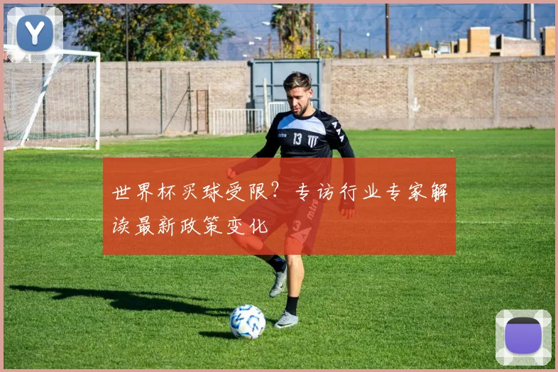世界杯买球受限？专访行业专家解读最新政策变化