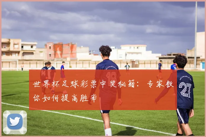 世界杯足球彩票中奖秘籍：专家教你如何提高胜率