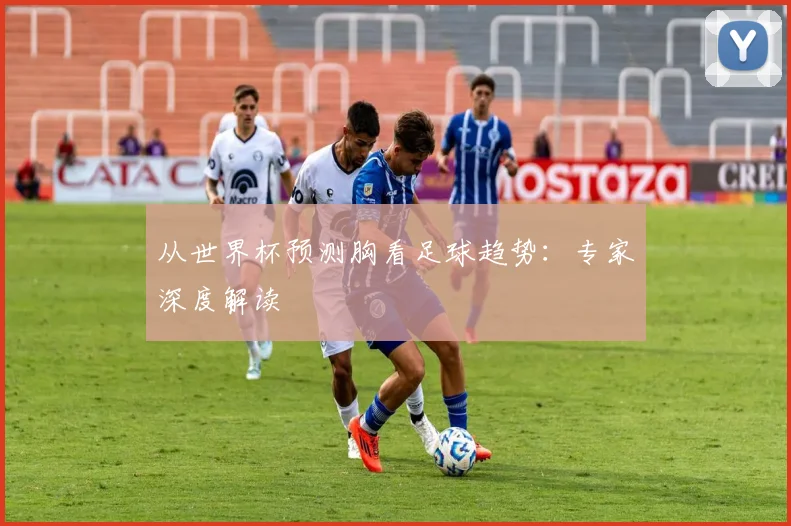 从世界杯预测胸看足球趋势：专家深度解读