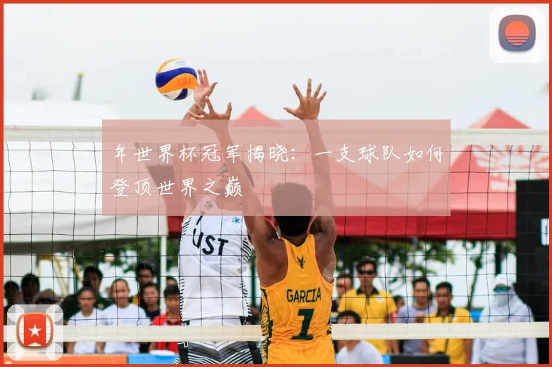 年世界杯冠军揭晓：一支球队如何登顶世界之巅