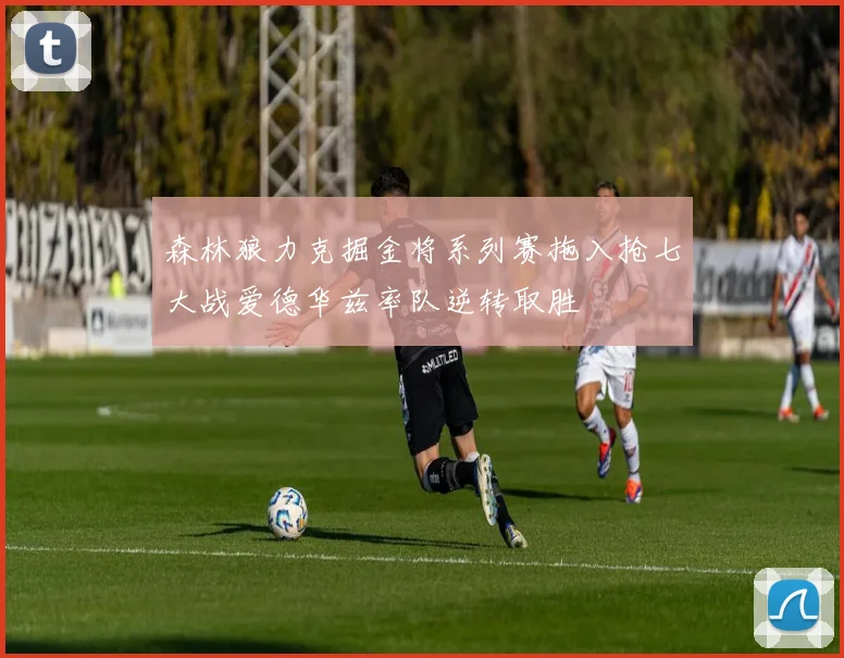 森林狼力克掘金将系列赛拖入抢七大战爱德华兹率队逆转取胜