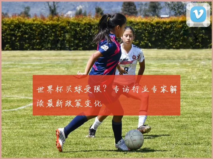 世界杯买球受限？专访行业专家解读最新政策变化