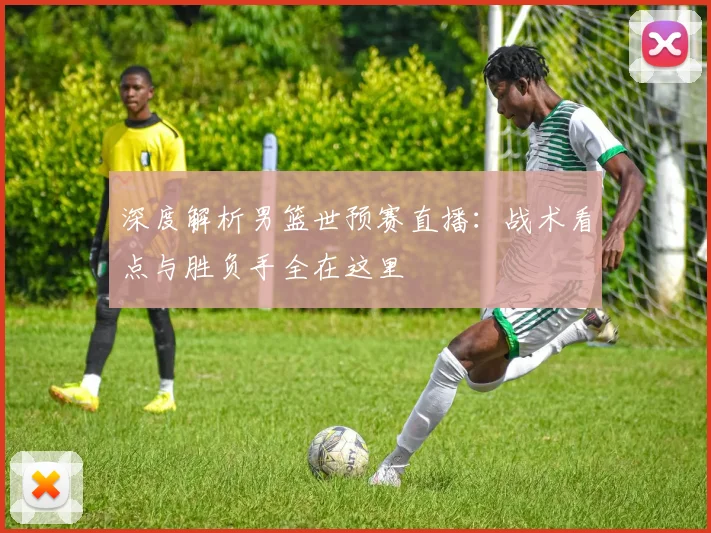 深度解析男篮世预赛直播：战术看点与胜负手全在这里