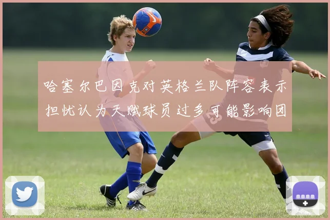 哈塞尔巴因克对英格兰队阵容表示担忧认为天赋球员过多可能影响团队合作